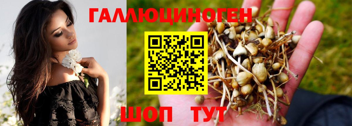 Галлюциногенные грибы прущие грибы  Псилоцибиновые грибы Psilocybine cubensis  Вход с VPN  Химки 